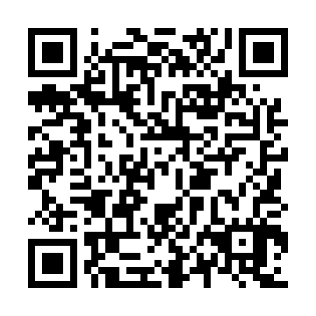 QR code for plate N0L 507