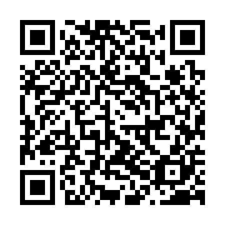 QR code for plate N0M 300