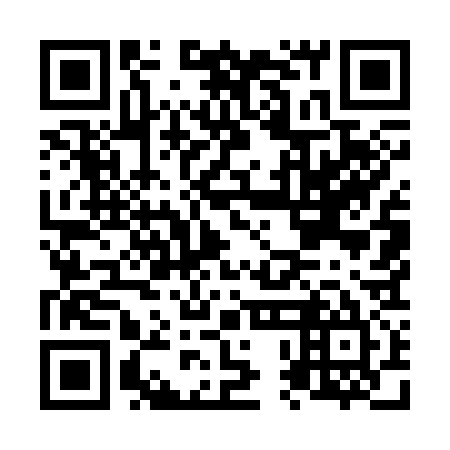 QR code for plate N0M 335