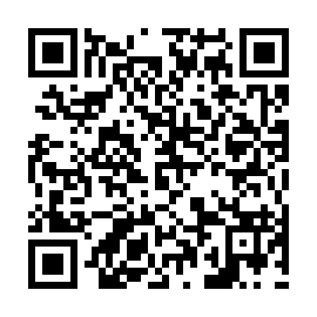 QR code for plate N0M 393