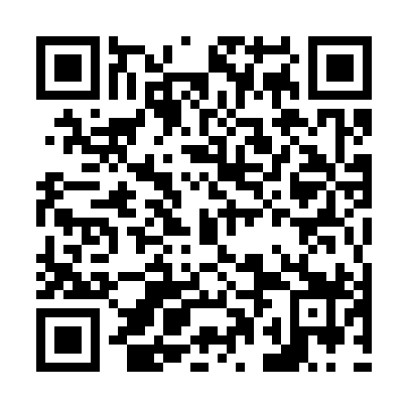 QR code for N0M399