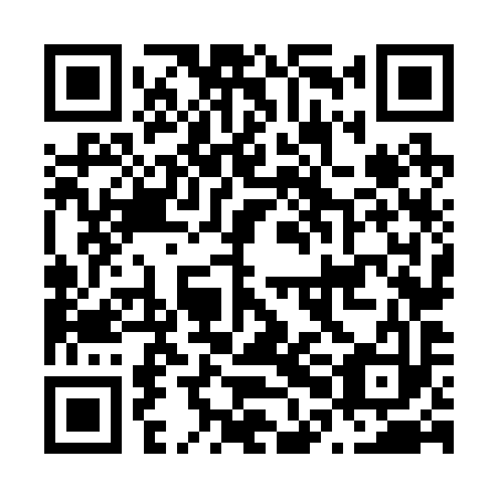 QR code for N0N 293