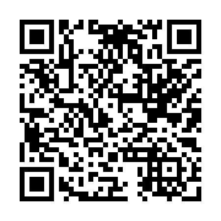 QR code for N0N 991