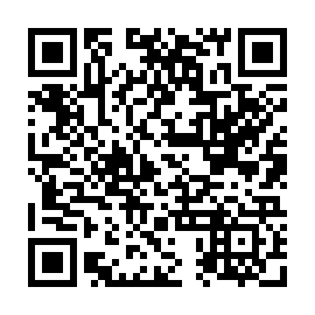 QR code for plate N0N 323