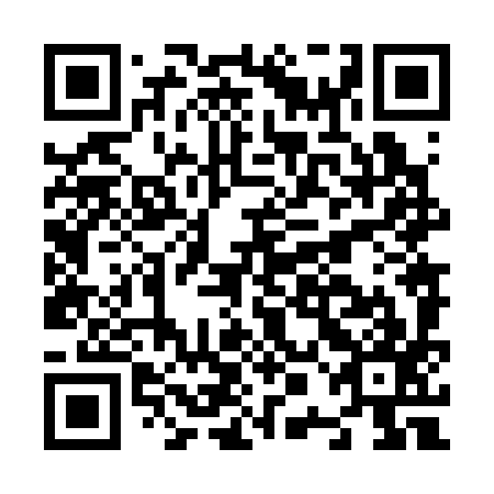 QR code for plate N0N 397