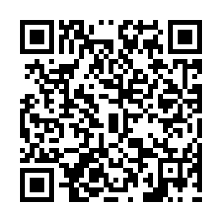 QR code for plate N0N 955