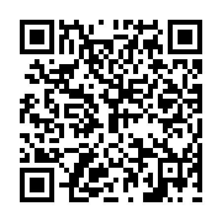 QR code for N0O 250