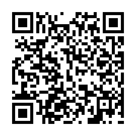 QR code for N0O 383