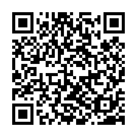 QR code for N0O 411