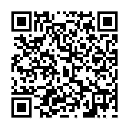 QR code for N0O 728