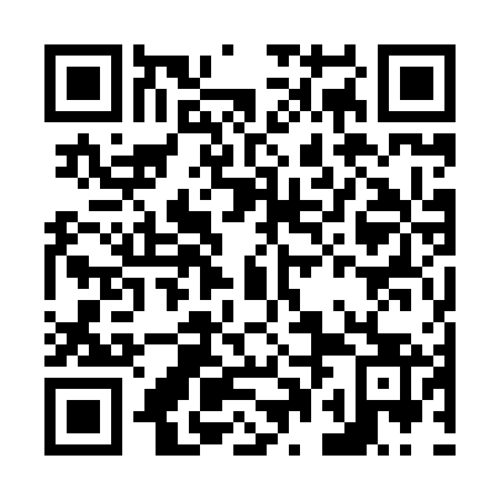 QR code for N0O 863