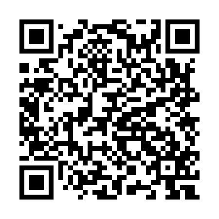 QR code for N0O 917