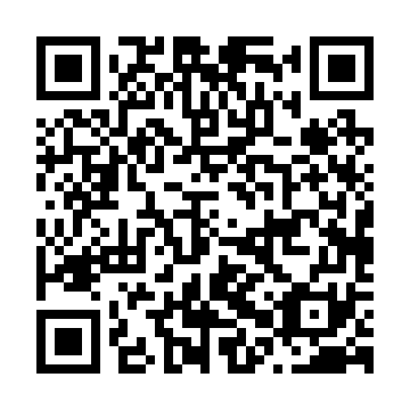 QR code for N0P 271
