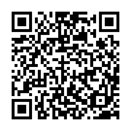 QR code for N0P 393