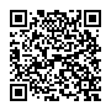 QR code for N0P325