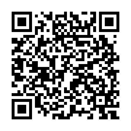 QR code for plate N0P 395