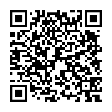 QR code for N0P438