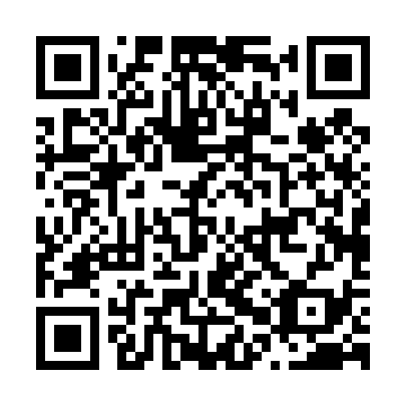 QR code for plate N0P 439