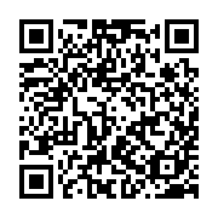 QR code for N0Q 381