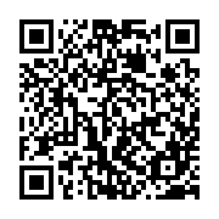 QR code for plate N0Q 386