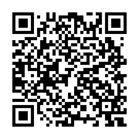QR code for plate N0Q 393