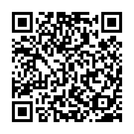 QR code for plate N0Q 419