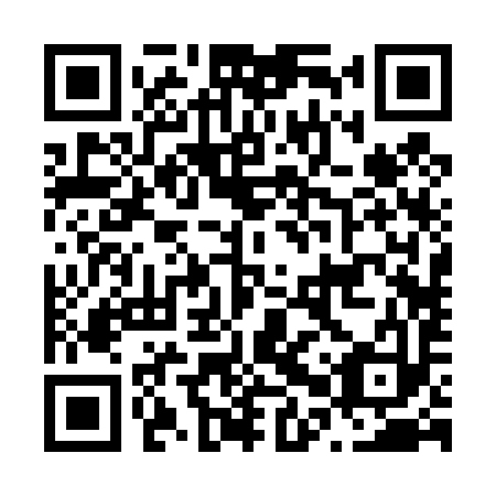 QR code for N0R 493