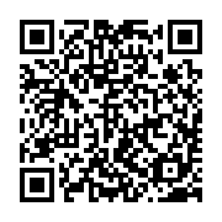 QR code for N0R395