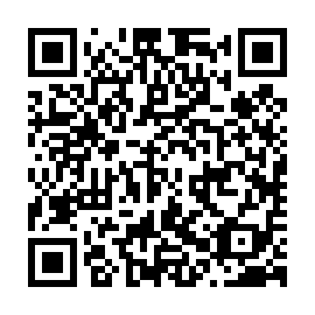 QR code for N0R419