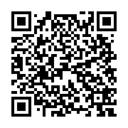 QR code for plate N0R 728