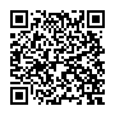 QR code for plate N0R 767