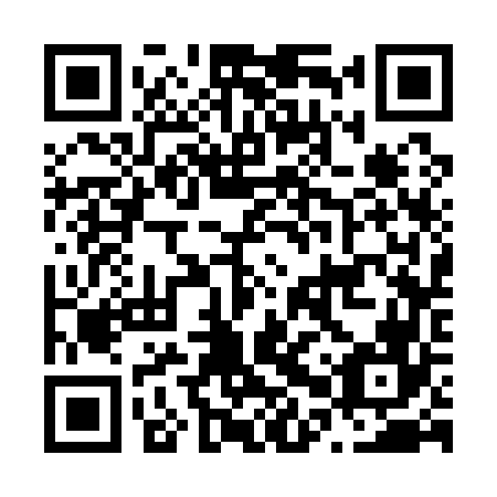 QR code for N0S166