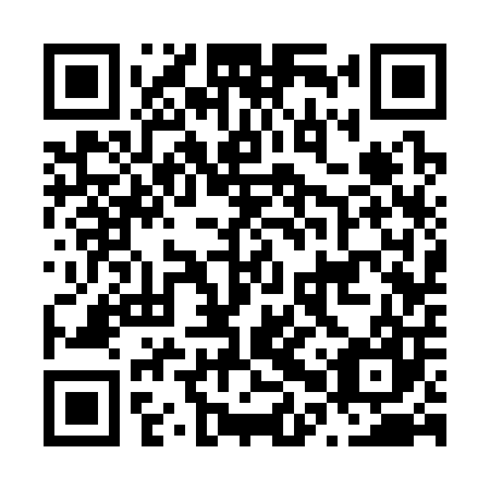 QR code for plate N0S 307