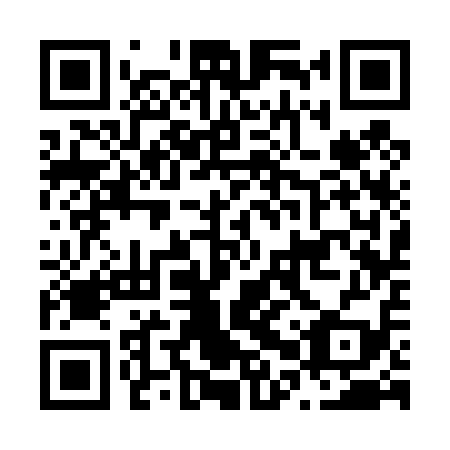 QR code for plate N0S 419