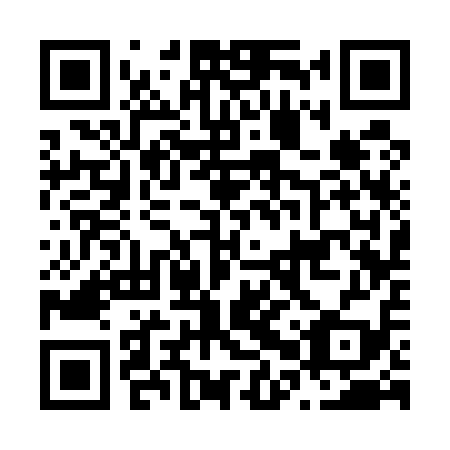 QR code for N0S519