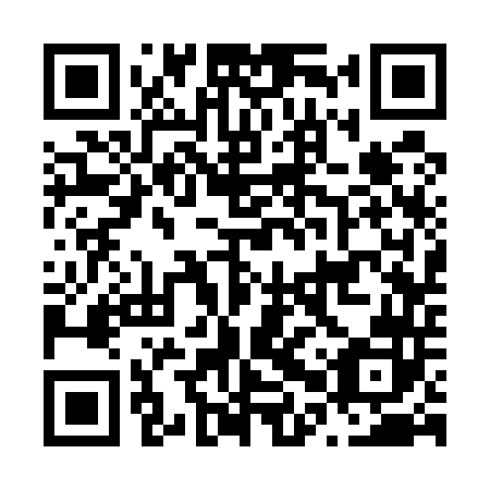 QR code for N0S542