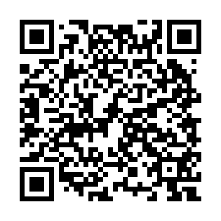 QR code for N0T 250