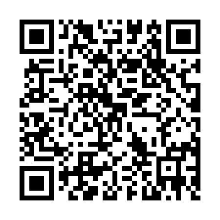 QR code for N0T 595