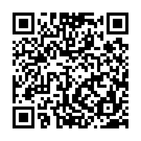 QR code for N0T 736