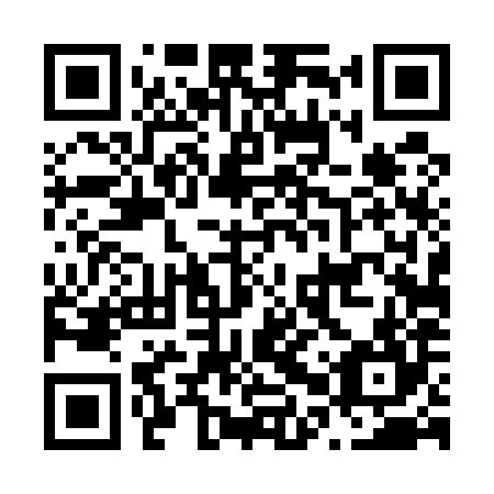 QR code for plate N0T 584