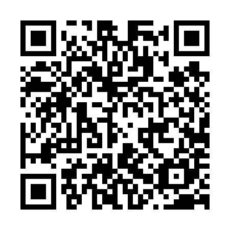 QR code for plate N0T 685