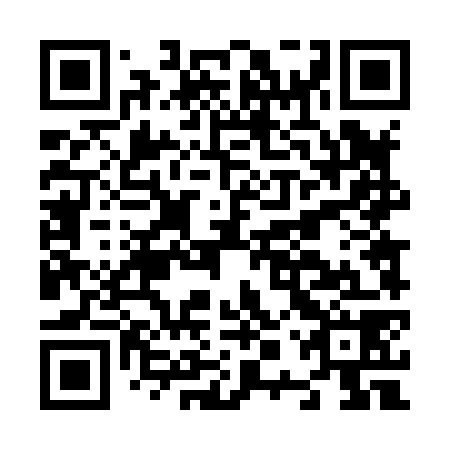 QR code for plate N0T 878