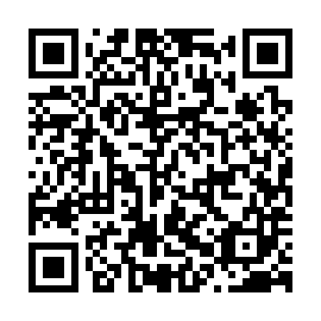 QR code for N0U 383