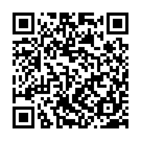 QR code for N0U 394