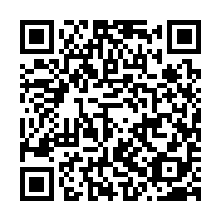 QR code for N0U 398