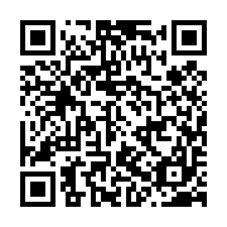 QR code for N0U 497