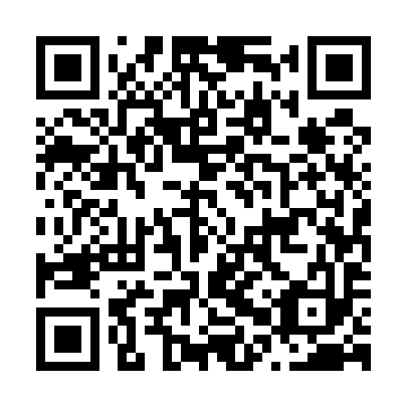 QR code for N0U 593