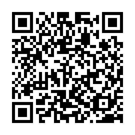 QR code for plate N0U 311