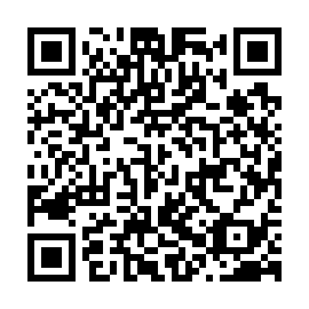 QR code for N0U739