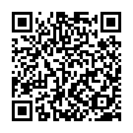 QR code for N0V 298